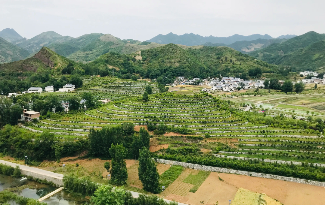 WechatIMG689.png 图片